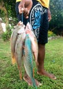 Fijian fisheman carry his early morning fish catch