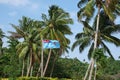 Fijian flag with palm trees at Beqa Island, Fiji