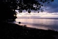 Fijian Sunset on Taveuni island under palm trees on a beach at dusk Royalty Free Stock Photo