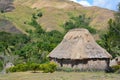 Fijian traditionally built houses