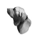 Fila Brasileiro, Brazilian Mastiff, Cao de fila brasileiro dog digital art illustration isolated on white background. Brazil Royalty Free Stock Photo