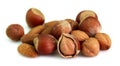 Filbert and almond Royalty Free Stock Photo