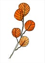 Filbert branch vector colorful line art