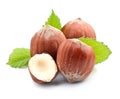 Filbert nuts with leaves. Royalty Free Stock Photo