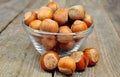 Filbert nuts Royalty Free Stock Photo