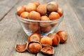 Filbert nuts Royalty Free Stock Photo