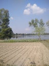 FILD WITH TREES POND IN WATER AND SKY WITH WHITE CLOUD