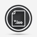 File ISO icon. Download virtual drive file.