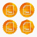 File ISO icon. Download virtual drive file.