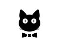 Cat breeds cute pet icon animal