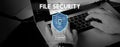 File Security Protection Privacy Interface Concept