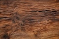 File of texture of bark wood use as natural background Royalty Free Stock Photo