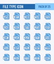 25 File Type. Two Color icons Pack. vector illustration Royalty Free Stock Photo