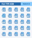 25 File Type. Two Color icons Pack. vector illustration Royalty Free Stock Photo