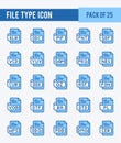 25 File Type. Two Color icons Pack. vector illustration Royalty Free Stock Photo
