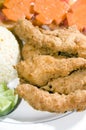 Filet of fish breaded nicaragua Royalty Free Stock Photo
