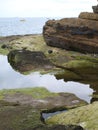 Filey Brigg Coastal Path. Royalty Free Stock Photo