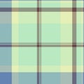 Filigree fabric plaid tartan, string check background seamless. Wallpaper vector pattern texture textile in light and blue colors