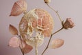 filigree physalis skeleton and dried hydrangea blossom, light pink toned Royalty Free Stock Photo