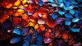 Filigree Spectrum: Eroded Colorful Grid