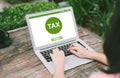 Filing taxes online Royalty Free Stock Photo