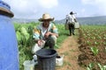 Filipino boy and irrigation young vegetable plants