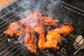 Filipino chicken barbecue on the grill