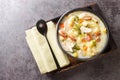 Filipino chicken soup with elbow pasta, vegetables, sausages close-up in a bowl. Horizontal top view