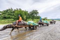 Filipino farmers riding a water cow cart along the volcanic field near Mount Pinatubo on Aug 27, 2017 in Capas, Central Luzon, Ph