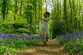 Filipino model running through a bluebell wood Royalty Free Stock Photo