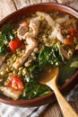 Filipino Mungo Guisado Mung Bean Soup close-up in a bowl. vert