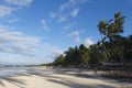 Filipino white sand beach in Bohol with shadows of coconut trees