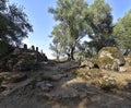 Filitosa, Corsica. The site once served religious purposes and possesses numerous figures carved of stone. Royalty Free Stock Photo