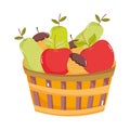 Filled basket fruits fresh on white background