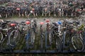 Filled bicycle parking Royalty Free Stock Photo