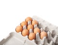 Filled egg carton package isolated Royalty Free Stock Photo