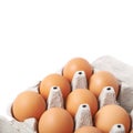 Filled egg carton package Royalty Free Stock Photo