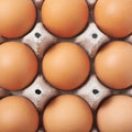 Filled egg carton package Royalty Free Stock Photo