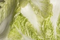 Filled frame close up background wallpaper shot of a pile of Chinese napa cabbage leaves on a white background