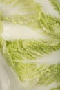 Filled frame close up background wallpaper shot of a pile of Chinese napa cabbage leaves on a white background