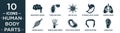 filled human body parts icon set. contain flat brain body organ, three bacteria, big cellule, stomach with liquids, human lungs,