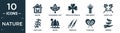 filled nature icon set. contain flat indoor, gooseberry leaf, trifoliate ternate, pine needle, grape leaf, larch leaf, woods,