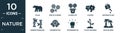 filled nature icon set. contain flat polar, pair of flowers, flower pot, clovers, watering plant, bamboo branches, conservation,