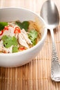 Filled noodle soup with shredded chicken Royalty Free Stock Photo