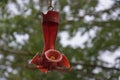 Filled Red Hummingbird Feeder Hanging Down