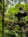 Tropical Garden at Monte above Funchal Madeira sea Royalty Free Stock Photo