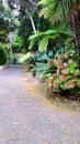 Tropical Garden at Monte above Funchal Madeira sea Royalty Free Stock Photo