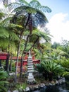 Tropical Garden at Monte above Funchal Madeira sea Royalty Free Stock Photo