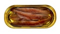 Fillet of anchovies with oil in a yellow oval tin can, close up, top view, isolated