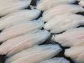 Fillet dory fish ready for sale Royalty Free Stock Photo